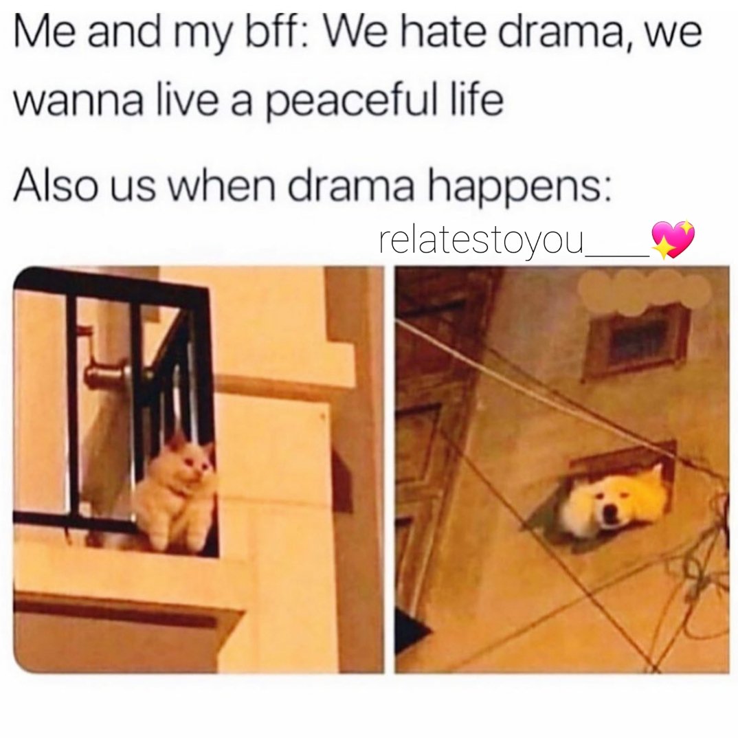 relatestoyou___'s tweet photo. he he he tag that person #relatable #relatabletweets #relatestoyou #MEMES #memesdaily #memes2020 https://t.co/6z99enyCZI