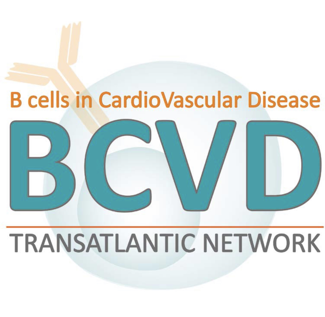 Our consortium on 'B-cells in Cardiovascular Disease'was selected by @FondationLeducq for their Transatlantic Networks of Excellence Program. Excited to work with @SwirskiLab @ZMallat SMalin CMcNamara SPillai on novel #immunotherapy approaches for #CVD 👇 fondationleducq.org/transatlantic-…