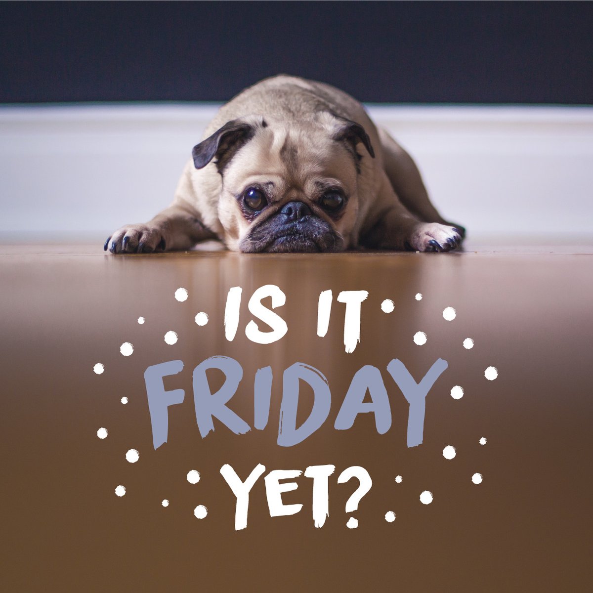 KEEP YOUR CHIN UP! The weekend is almost here!