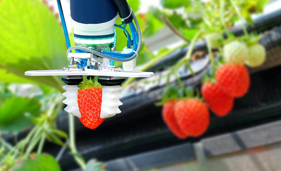 foodtech_20's tweet photo. #onlineevents : https://t.co/xDUwmoNutF
#food #engineers provide the technological knowledge transfer essential to the cost-effective production and commercialization of #foodproducts &amp; #Services 
#foodwaste #nutrition #foodprocessing 
E: foodexpo20@gmail.com
Tel: +1 609-540-7643 https://t.co/twju0dahEI