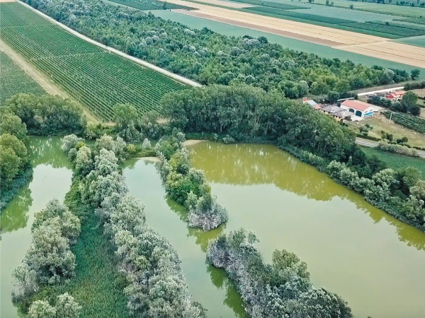 CiviltaAcqua's tweet photo. Inaugurato a Meolo nuovo percorso digitale: la simbiosi uomo-ambiente diventa tour del Water Museum of Venice - https://t.co/7xlXtXT91i https://t.co/fnIp4UHtt1