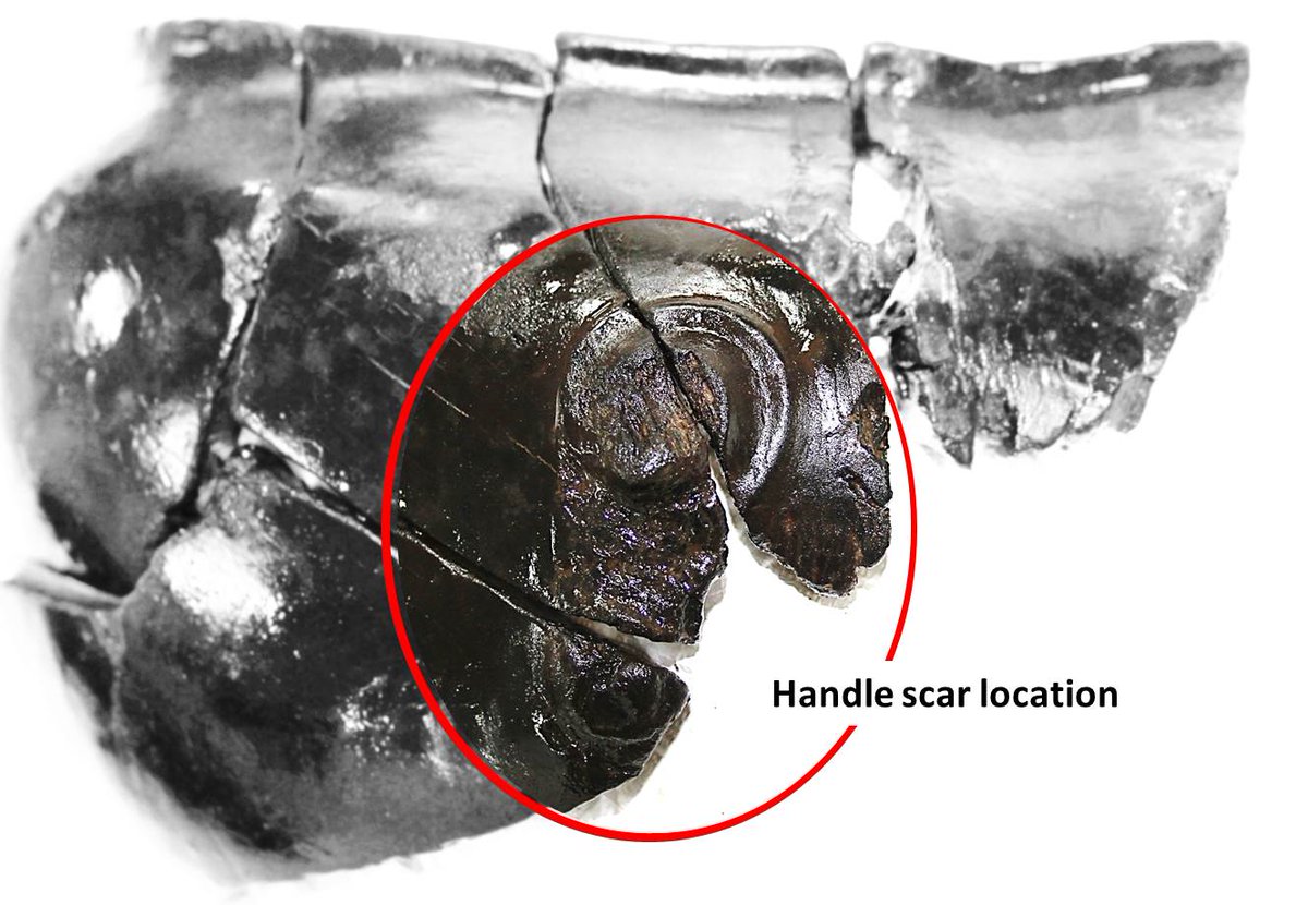 4  #IconArchTC After micro-excavation I gently washed the bowl fragments. The bowl has a beautifully smooth burnished exterior, tool marks on the interior surfaces and a scar where a handle once protruded. Though the bowl is fragmentary the wood is well preserved and quite robust