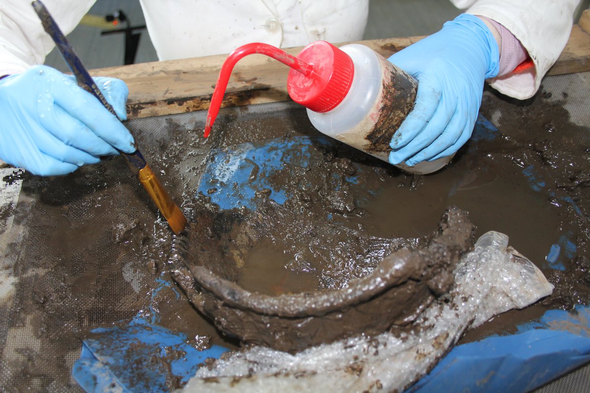 3  #IconArchTC The bowl was lifted with the surrounding soil and required micro-excavation in the lab. I used small tools and brushes to carefully remove the soil. The bowl was highly fragmented, as I removed each piece I took detailed recordings along the way