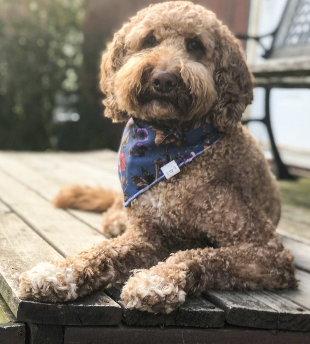 Barbara Vokatis tweet media