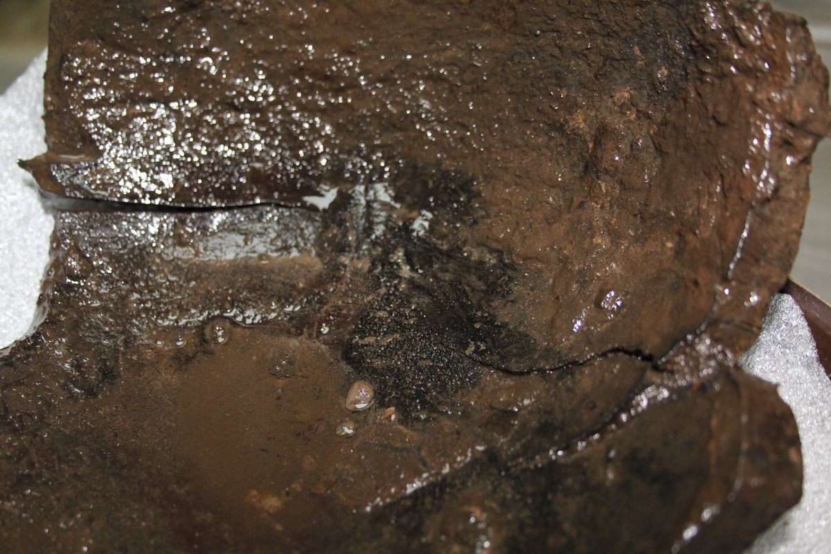 6  #IconArchTC The bowl underwent scientific analysis including residue analysis, XRF of the metal rivets, C14 dating and environmental analysis of the soil fill. See if you can spot the residue on this muddy base sherd!