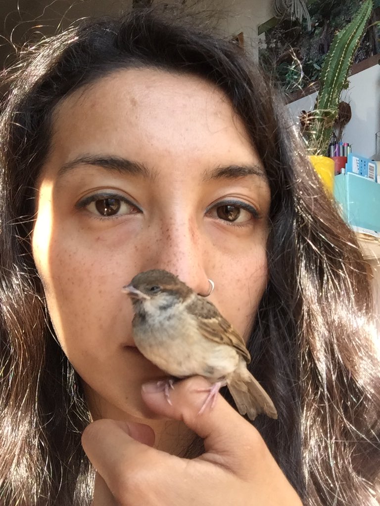 laiidazzz's tweet photo. Increíble como 16 gramos de plumas me han hecho el ser humano más feliz del mundo
Amar con el corazón en la mano, aún a pesar del dolor, es lo que nos recuerda para qué existe la vida https://t.co/FXeHVJ0HJE