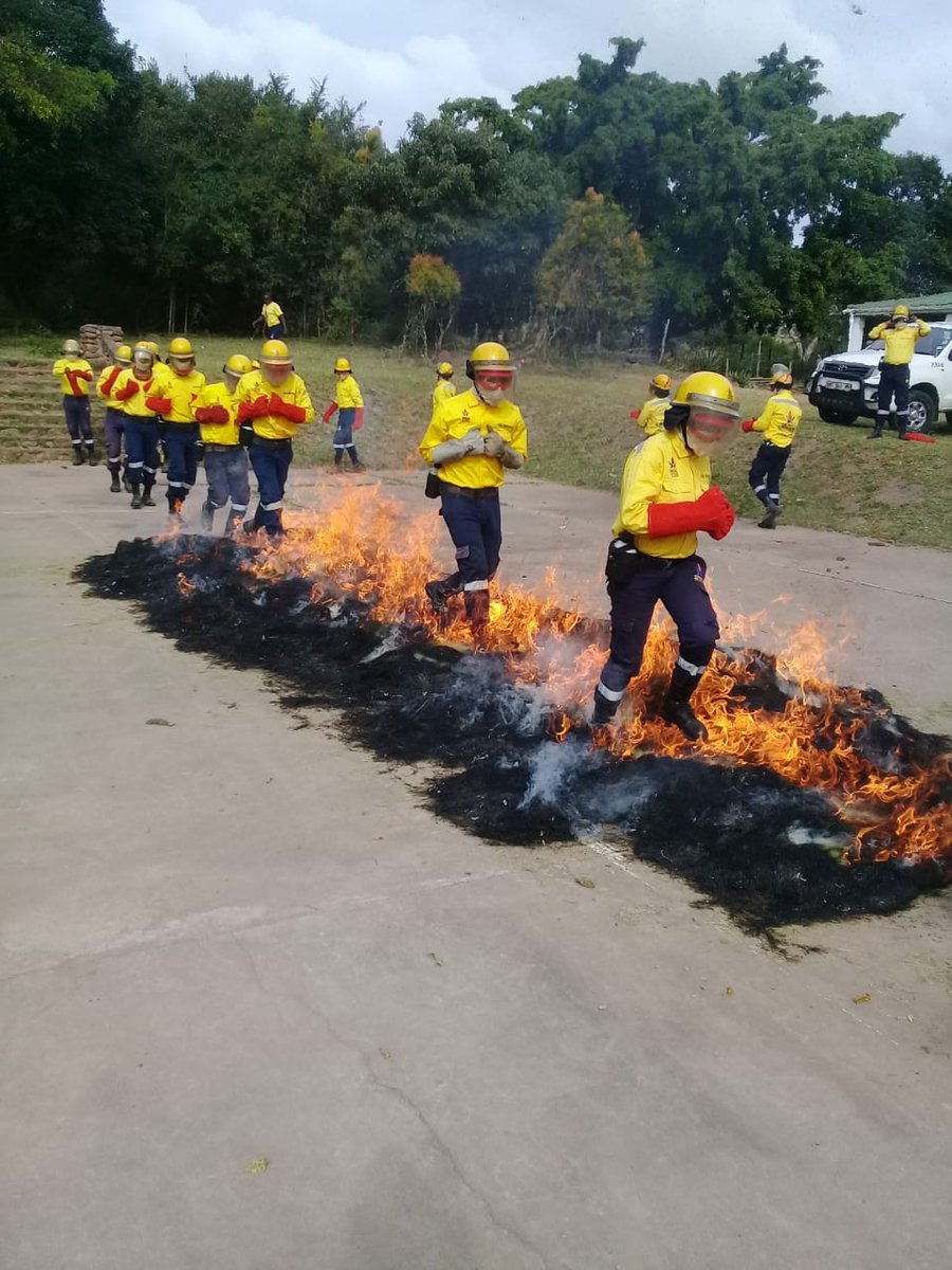 wo_fire's tweet photo. #YellowCardTrainingCamp #WOF_KZN Shongweni successfully completed their Yellow Card assessment includes: push-ups, sit-ups, pull-ups, 2.4 km run, also refresher on how and when to use certain tools when fighting a fire or doing fuel load reduction.
#YCTC2020
#SavingLives https://t.co/OaZHcATUZq