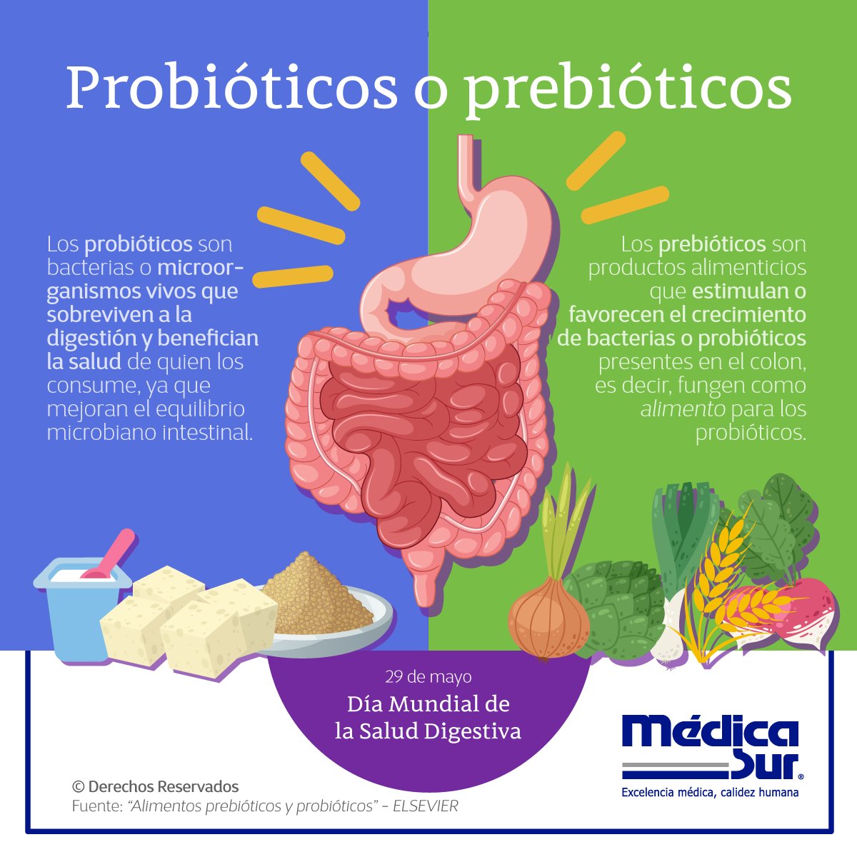 medicasur's tweet photo. ¿Sabías que mantener sana la microbiota intestinal refuerza tu sistema inmune?  Consume los diferentes #probióticos y #prebióticos para tener una buena salud digestiva. 

#DíaMundialSaludDigestiva #SaludIntestinal #WorldDigestiveHealthDay #29Mayo #SaludDigestiva #Gastro https://t.co/DUNSJvbuq6