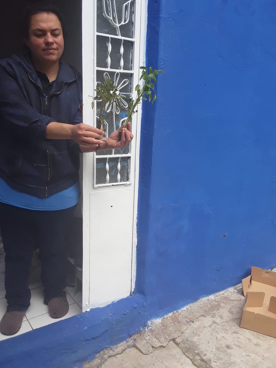 Gazi Dayanışma Ağı olarak atalık/analık tohumlarla üretilmiş; domates ve biber fidelerimizi Gecekondu bölgesindeki ailelere ulaştırdık.
Gelecek yıl kendi tohumlarımızla üretim yapacağız.
Birlikte üretmek için Gazi Dayanışma Ağına
#Atalıkanalıktohum
#Kentbostanı
#DayanışmaYaşatır