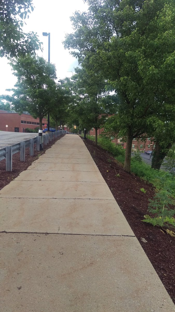 wendymmilne66's tweet photo. Got my virtual 5K in thru Seton Hill University for Girls On The Run.where did you run? #CoachesRunToo @DowntownGbg @RachelH17564629 @KrisWeiss31 @EHolsinger @Pencils4Pollak @mshaffo #GOTRPA5KYourWay #GOTR5k #GOTRatHome @GotrMagee #GOTRGotYourBack https://t.co/PmH10r2vNM