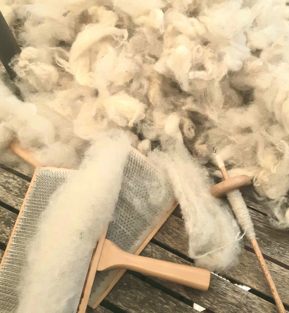 A break over lunch, the boreray is washed and almost dry, pulling apart the clumps,  carding  and spinning in the shade of a  warm and bright afternoon with the smell of the fleece mingling with sweet honeysuckle makes me a very fortunate, with very soft lanolin enriched hands.