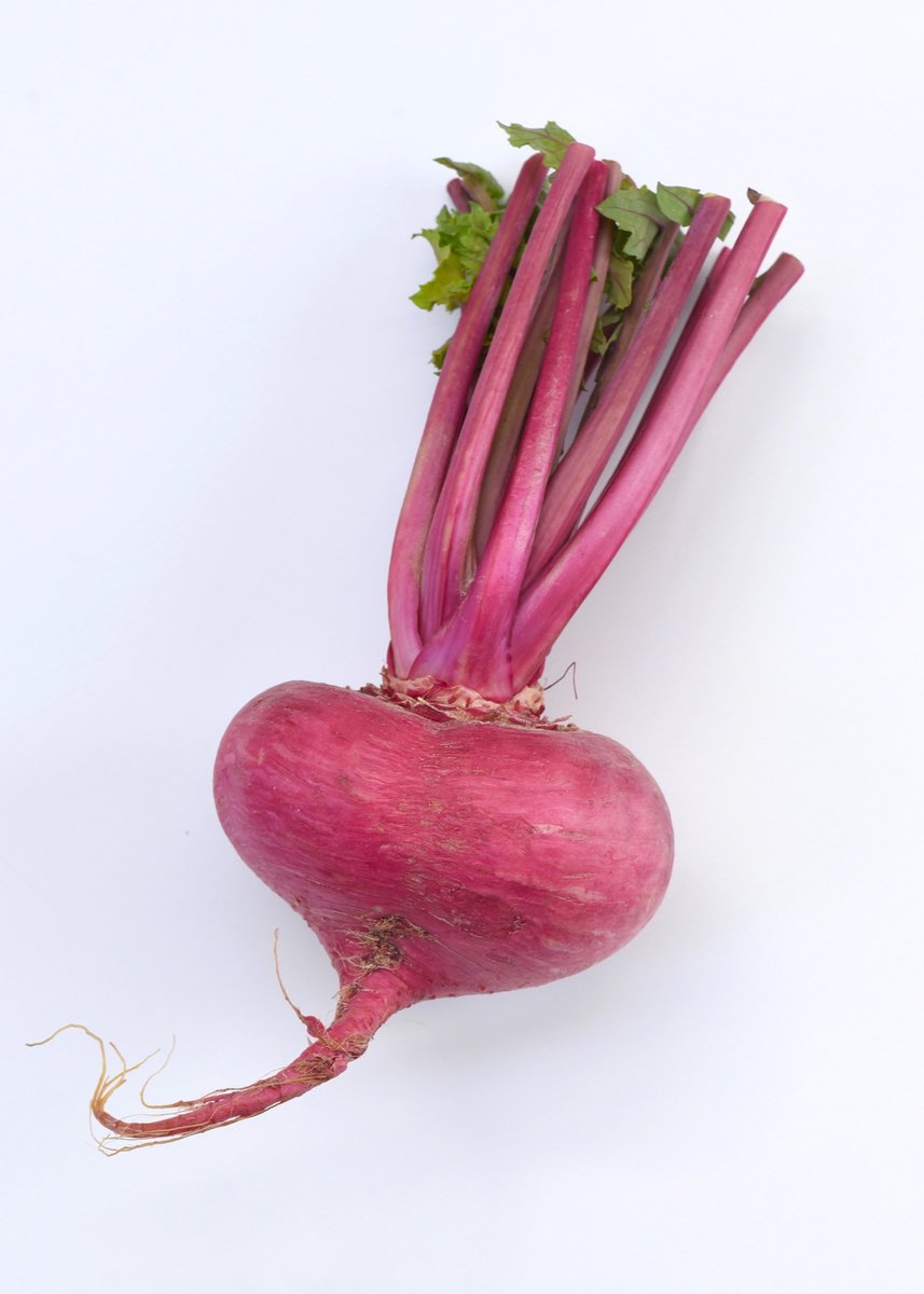 赤かぶ ホンダ（HONDA） スーパーディオZX | Super Dio ZXの型式・スペック