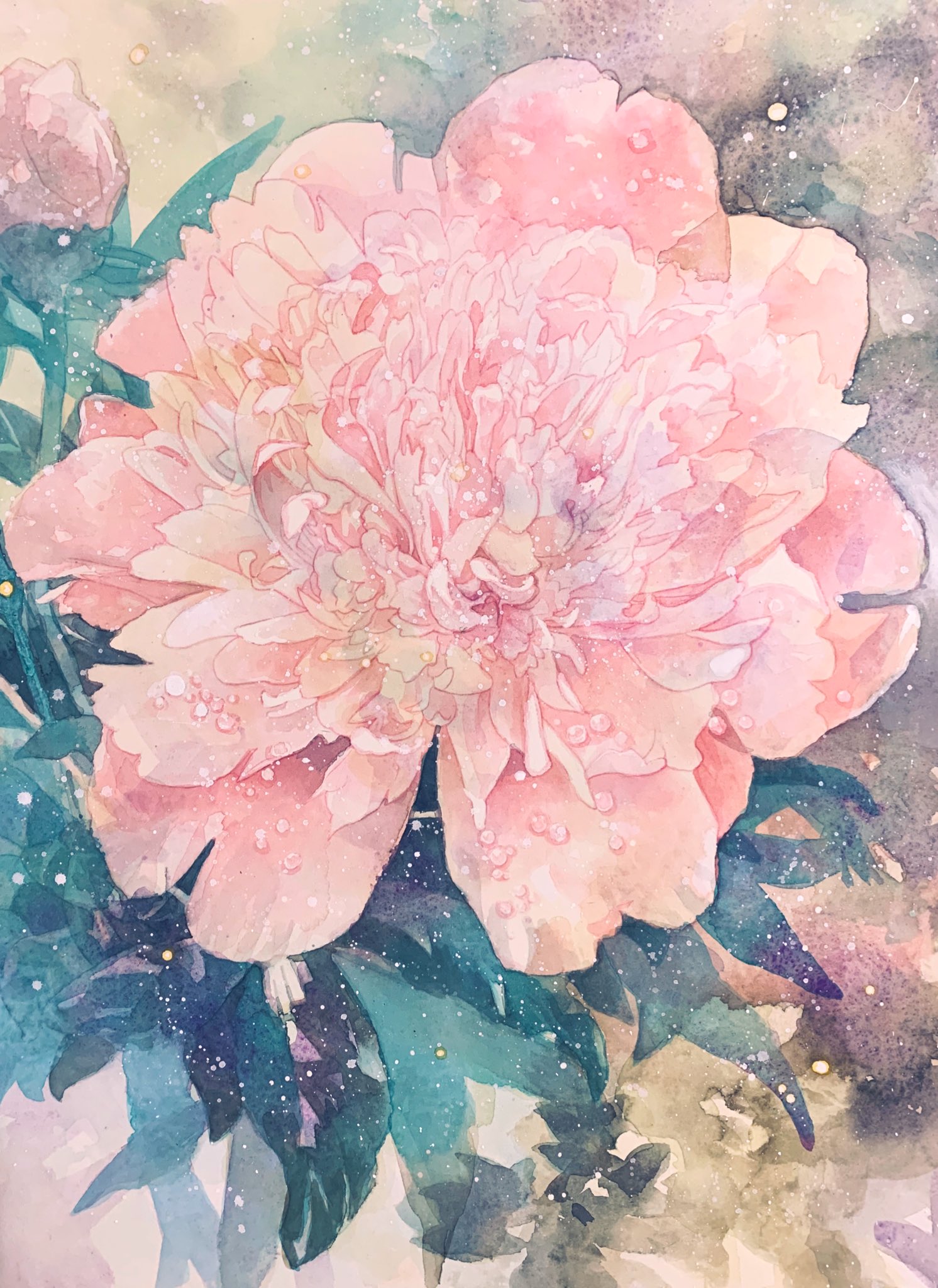 綿飴 芍薬 しゃくやく 芍 は抜きん出て美しいという意味だそう 立てば芍薬 座れば牡丹 歩く姿は百合の花 ということわざにもありますように 美しいひとの代名詞のようです この花も 牡丹に続き母が育てました 使用画材 ターナーアクリル