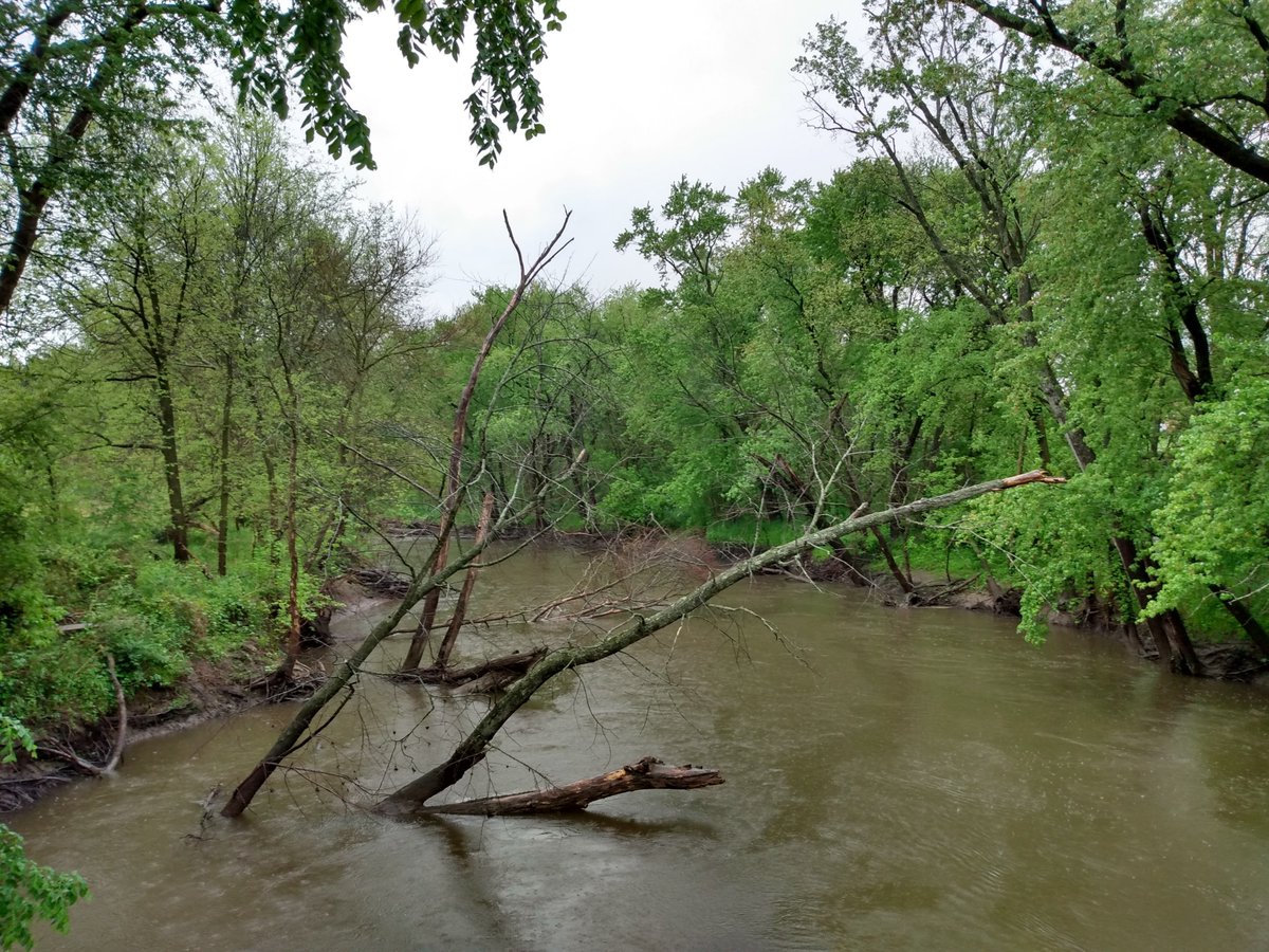 riyeff's tweet photo. spent yesterday exploring columbia and sauk counties, wi: the baraboo river, wi river, prentice creek, the lower narrows, the baraboo range. in soaking spring rain--couldn't beat it.
can't wait until i can stay there for a few days again.
#manmound #baraboorange https://t.co/6honO5W90C