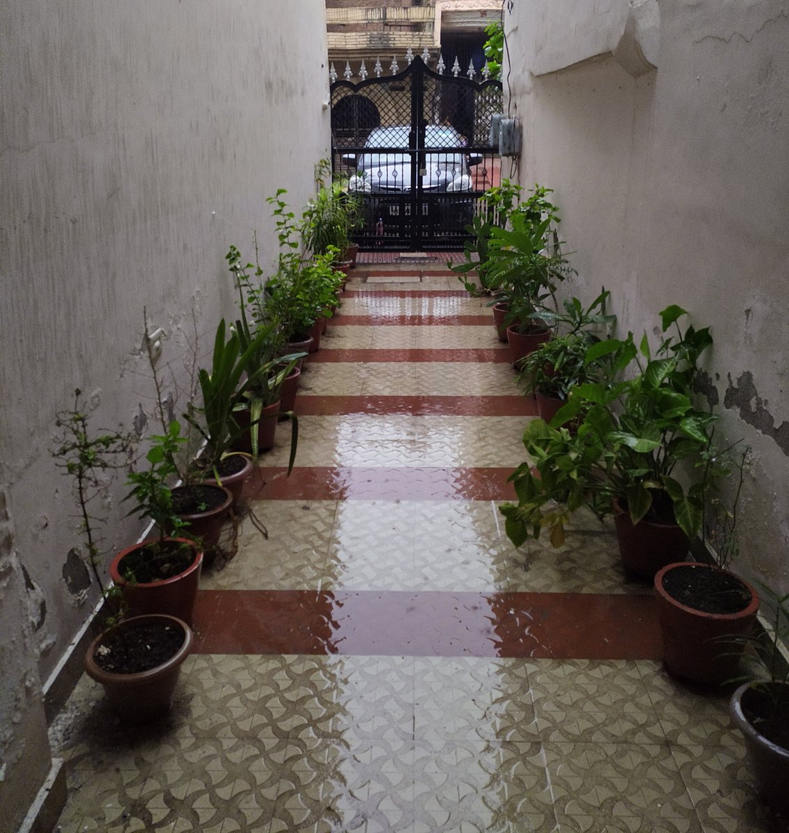 Pschauhan2910's tweet photo. Enjoying the pre monsoon rain at home Faridabad.
#Stayhomestaysafe
#Followlockdown 4.0 https://t.co/RnuAurAV0Z