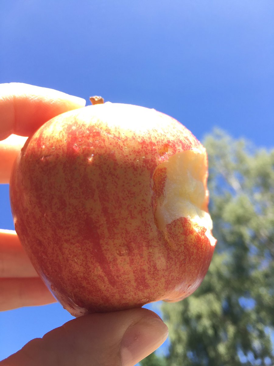 Enjoying my lunch in the garden (benefits of #wfh) with a delicious #apple from @fruitrunner #homefruitdelivery