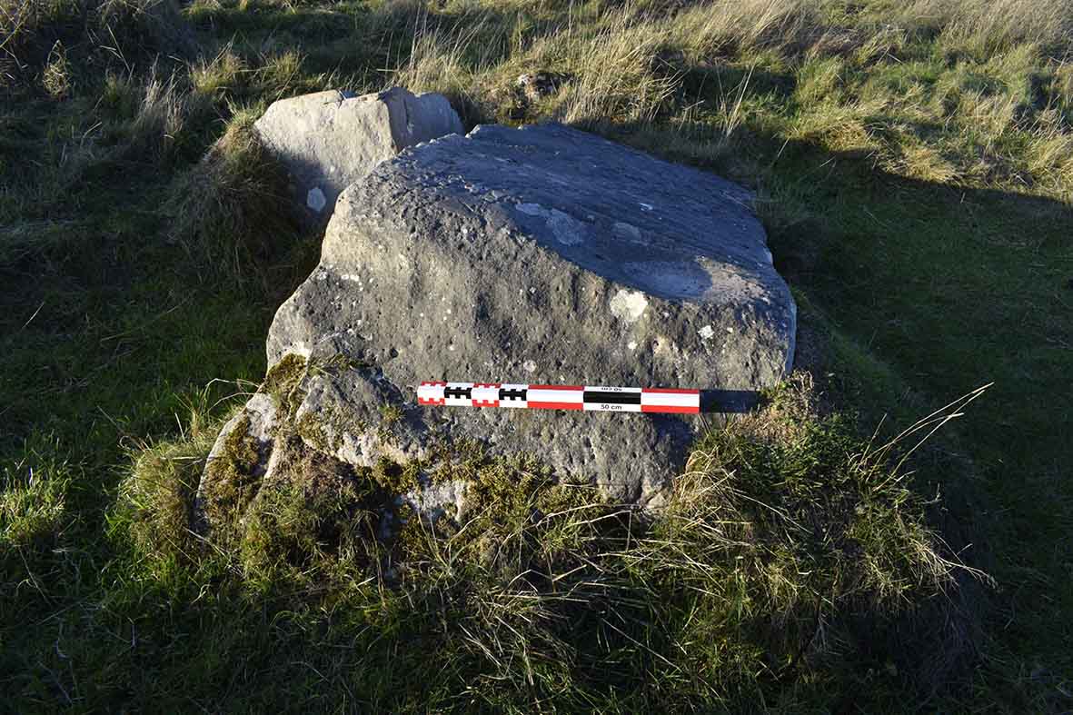 Two chunks of sarsen stone, one cleanly split from the other, and a gap and a hollow in the earth where a third piece was removed. This is what you have come to touch: the glossy smooth surface of the stone, the dished hollow and the steep-sided grooves.  #PATC5  #DailySarsen 11/