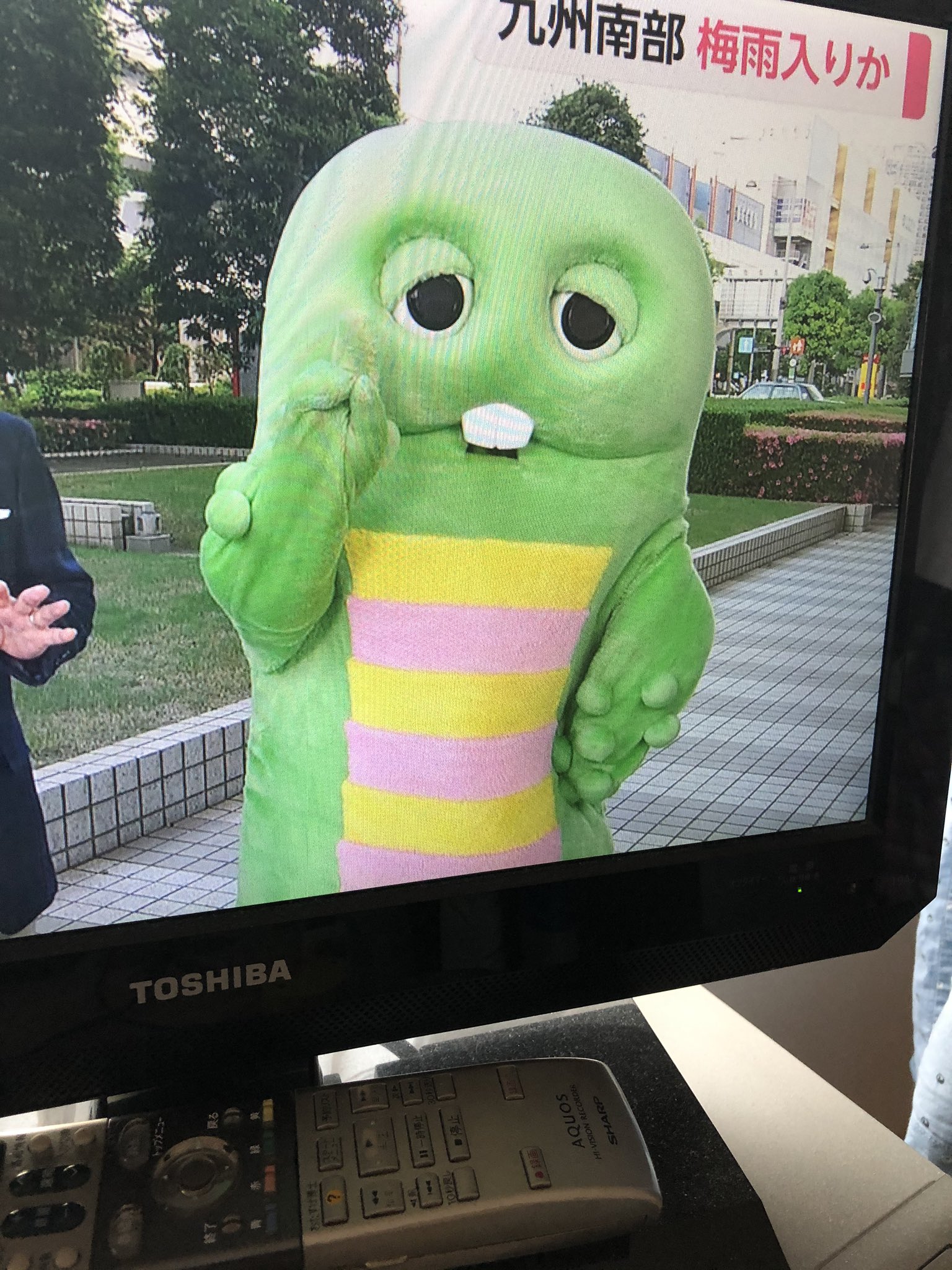 ガチャピン可愛い Twitter Search Twitter