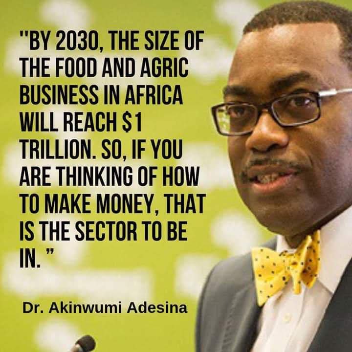 So from 2015, there has been consistent pointers to USA and it’s allies conflict in the affairs of AfDB, with this climaxing when Adesina became the unopposed candidate for second term, due to his impeccable accomplishments. So they dug up 16 spurious allegations against him.