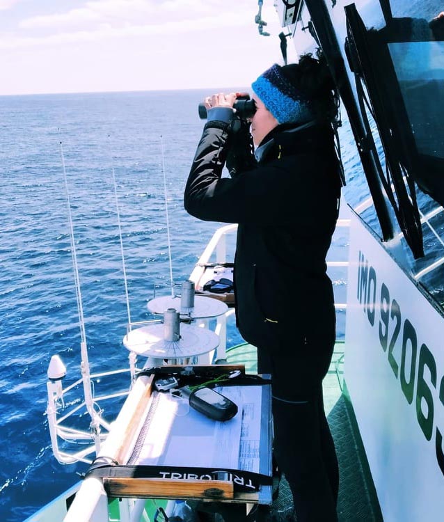 Marine Life Project tweet media