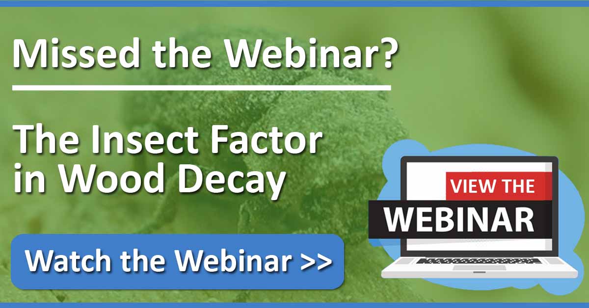 PCAPropertyCare's tweet photo. THANK YOU to all that attended our 'live' CPD broadcast yesterday - 'The Insect Factor in #WoodDecay '. If you missed it, you can now view the webinar 'on-demand' https://t.co/UG3ks4a6rq
#wooddecay #timberdecay #woodworm #woodrot #damp #dampproofing https://t.co/sWalgfLvTX