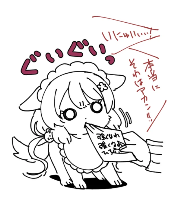 今日のわんこ
No.2434 とこちゃん 200才超 メス
(ケルベロス) 