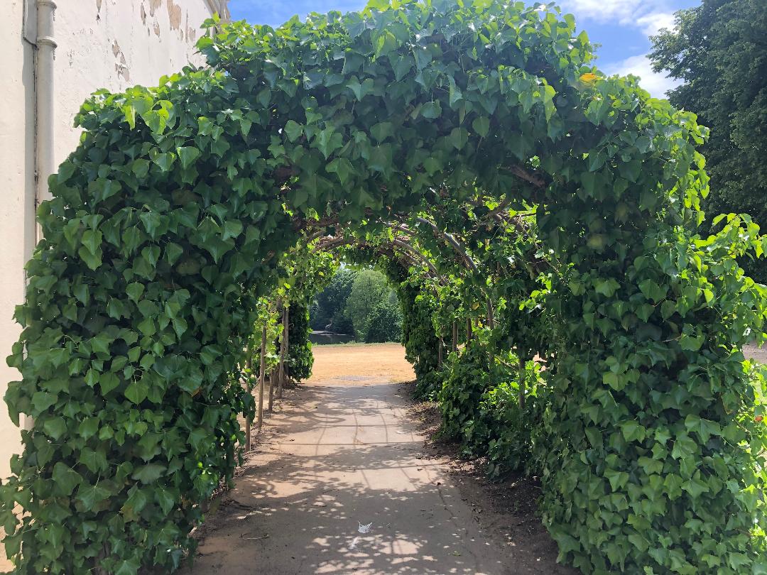 FriendsKenwood's tweet photo. Vermeer | Kenwood estate open | Rembrandt | Your Membership - https://t.co/exyqkb7OiI
Online Spotlight Talk : Vermeer Tues 11am, more details on @EHKenwoood estate reopening, a new publication @EnglishHeritage @Gagosian @FriendsKenwood Newsletter - &amp; please renew your membership! https://t.co/xq3tu4qGlM