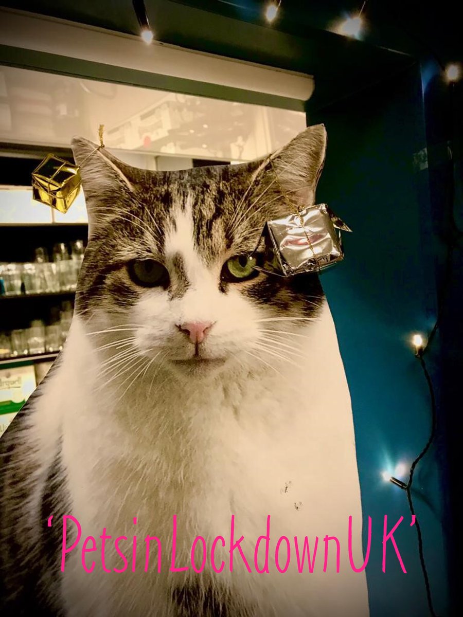 Rumba Foundation tweet media