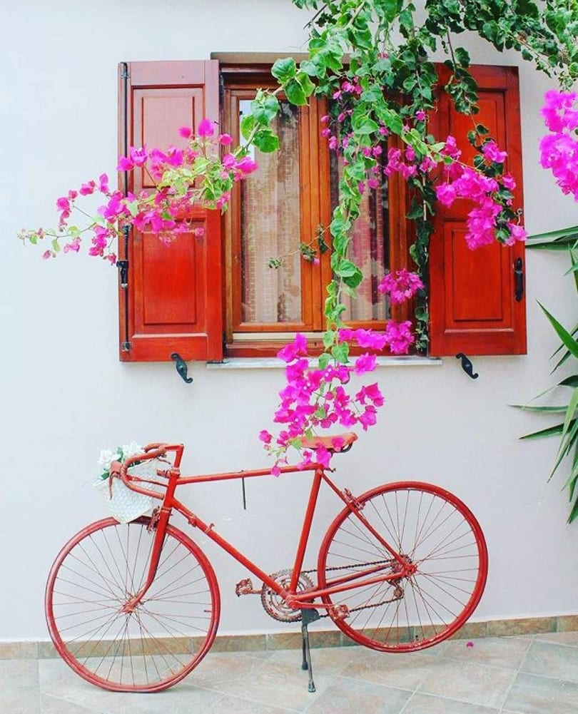 Syrosislandgr's tweet photo. A red bicycle is the answer to some of the world's most compicated questions!#Syrosawaits #Syros_CovidReady #booksoon #wearetogether #MoreThanAnIsland #PlaceToFallinLove #dreamsyros #syros4seasons #SyrosIsland #WeAreSyros #VisitSyros #Cyclades #Greece
@moranregevtravels https://t.co/5DCcC7AWZb
