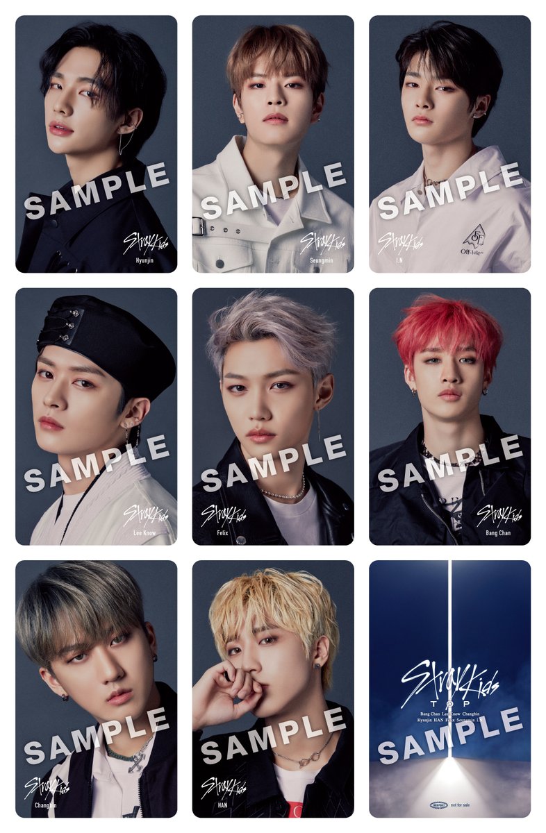 Stray Kids フォトカードセット ALLIN トレカ