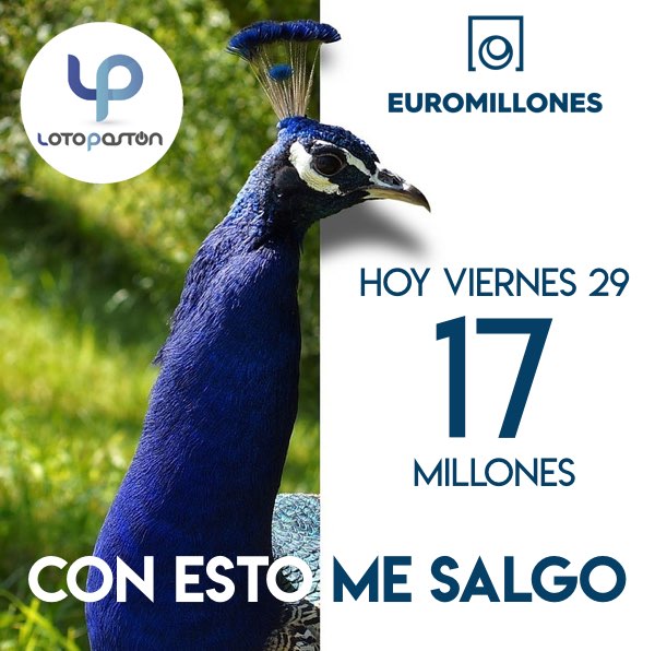 lotopaston's tweet photo. Tampoco hay que buscar cantidades astronómicas siempre...yo con 17 millones ya...
https://t.co/4RYkw3q7df
#euromillones #SORTEO #Apuestas https://t.co/mfsDO2bNCk