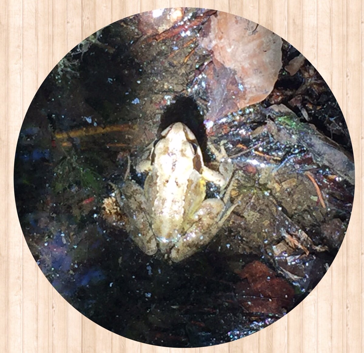 ReclayGroup's tweet image. #PhotosOfMyLife Day 4/7. Jeden Tag ein Foto. Eine Woche lang. Keine Menschen, keine Erklärungen. Jeden Tag eine Einladung, sich zu beteiligen. Danke an @bvsenews Hello @IK_Verband