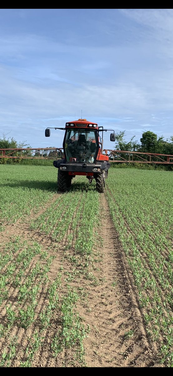 lrd530's tweet photo. @MrTrousdell Ours in the field not quite at that stage yet https://t.co/QdEKDVY5pF