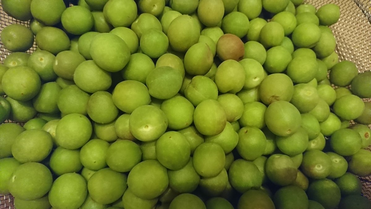 Ab Ab E5 B0 8f E6 85 Twitter Search