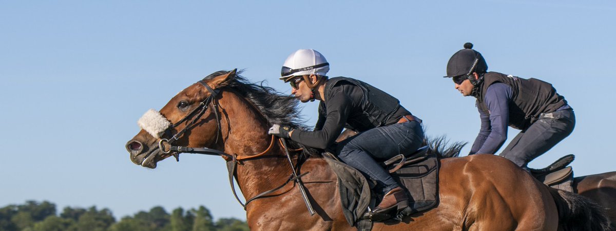 MelanieSauerPh1's tweet photo. Not only is this my favourite shot of this morning at the Watered Gallops @NewmarketGallop but it also shows off @SilvDSousa setting new trends!! Check out his eye wear πππ#settingnewtrends #oakley #horseracing #equinephotography #fewdaystogo #worldhorseracing https://t.co/NkXU4EwtLn