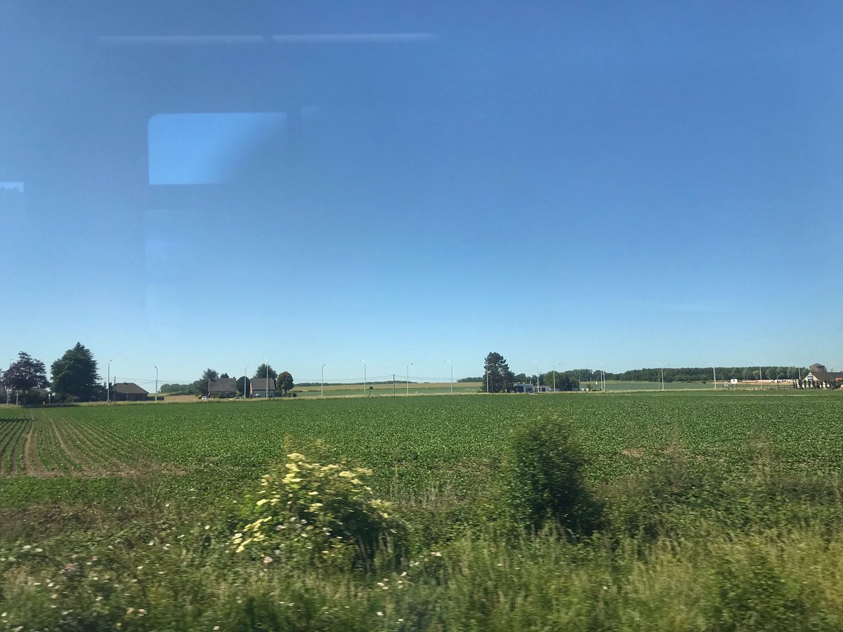 laventureduquai's tweet photo. C'est une bien belle journée ☀️ pour être #surlequai 🚉 et regarder #parlafenetredutrain 🪟🚊
-merci- 😊 pour cette pensée @FloodVal 
#trainride #trainwithaview #train #trainwindow #view
A (train) window with a view in Belgium #SNCB https://t.co/o4BJro267L