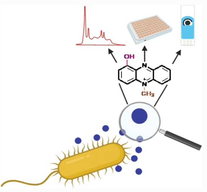 IQAC_CSIC's tweet photo. 📊#IQACPapers: check out our new #research paper "#Phenazines as potential biomarkers of #Pseudomonas aeruginosa infections: synthesis regulation, pathogenesis and analytical methods for their detection".
@lilivilaplana @mpilarmarco1 @Nb4Diagnostics 

➡️https://t.co/tLLL3S33PY https://t.co/FkeN0nkrBt