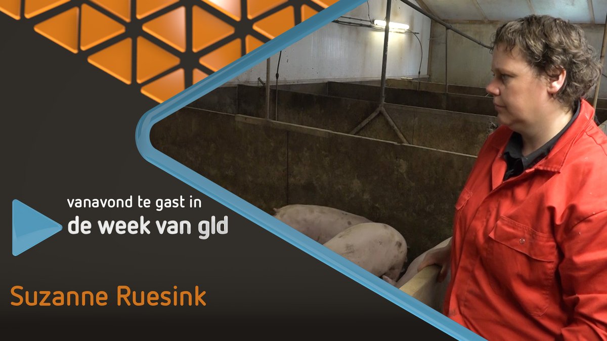 De sluiting van de slachterij in Apeldoorn was een schrikmoment voor <a href="/SuzanneRuesink/">Suzanne</a>. Wekelijks gaan 170 varkens vanuit haar boerderij naar de slacht. Wat zijn de gevolgen voor haar als het mis gaat bij slachterijen en hoe houdbaar is het systeem? <a href="/OmroepGLD/">Omroep Gelderland</a> @DeWeekvanGelderland