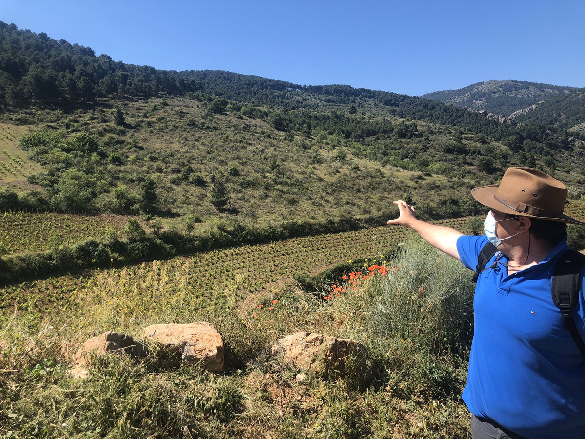 Carmen Urbano tweet media