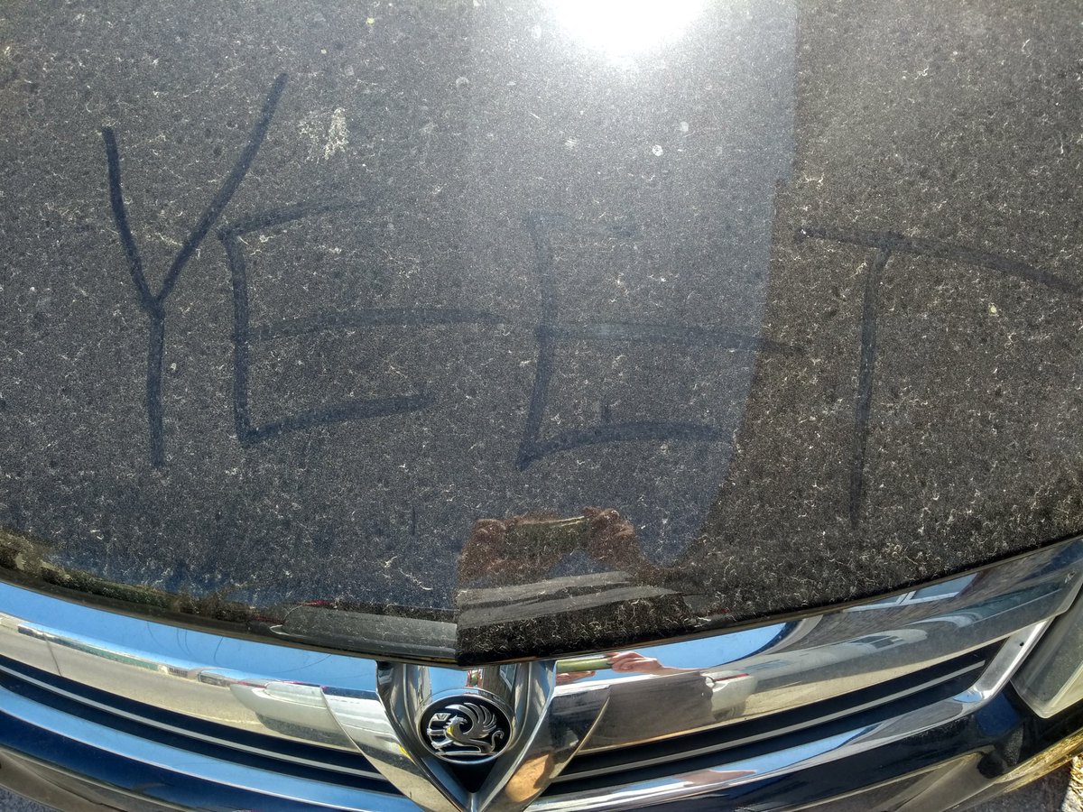 Yeet! <a href="/Lazarbeam/">LAZAR</a> my kids say I can't wash my car ever again!