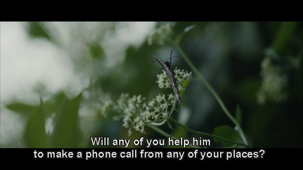 Alfonse Putharen had stated in a recent interview that Love Plants do not love each other, but they do get some love because of butterflies. He suggests that in this scene, when Mary confesses that she has a boyfriend, a butterfly moves away from the plant. #5YearsOfPremam