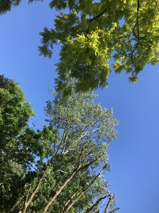 Perfect day for some outdoor fun https://t.co/sDZtx9U5JO<a href="/tag/goodmorning"class="tags"><span>#goodmorning</span></a><a href="/tag/goodtimes"class="tags"><span>#goodtimes</span></a><a href="/tag/holliday"class="tags"><span>#holliday</span></a>