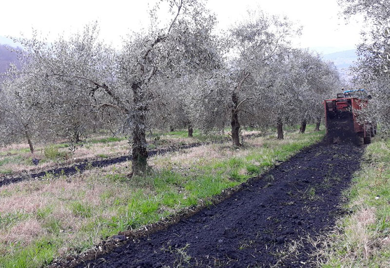 SNPAmbiente's tweet photo. #bestpractices, il progetto #europeo #Geco2 (#Green #economy and #CO2) supporta l'adozione di pratiche #agricole #sostenibili come alleate contro i #cambiamenti #climatici. #Ecoscienza fa il punto su conoscenze, #normativa e utilizzo del #biochar. #green https://t.co/baCIg3PIpY https://t.co/BLmgwAlzQz