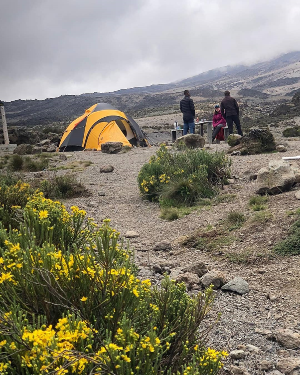 KileleClimb's tweet photo. There are seven official routes to choose from when climbing Mount Kilimanjaro.
The seven routes vary not only in length, landscapes, but also some are more challenging than others.
#Trekker #Adventuremaker #kilimanjaroadventures #TrekkingTour #Climber #mountkilimanjaro #kili https://t.co/DnF136V30f