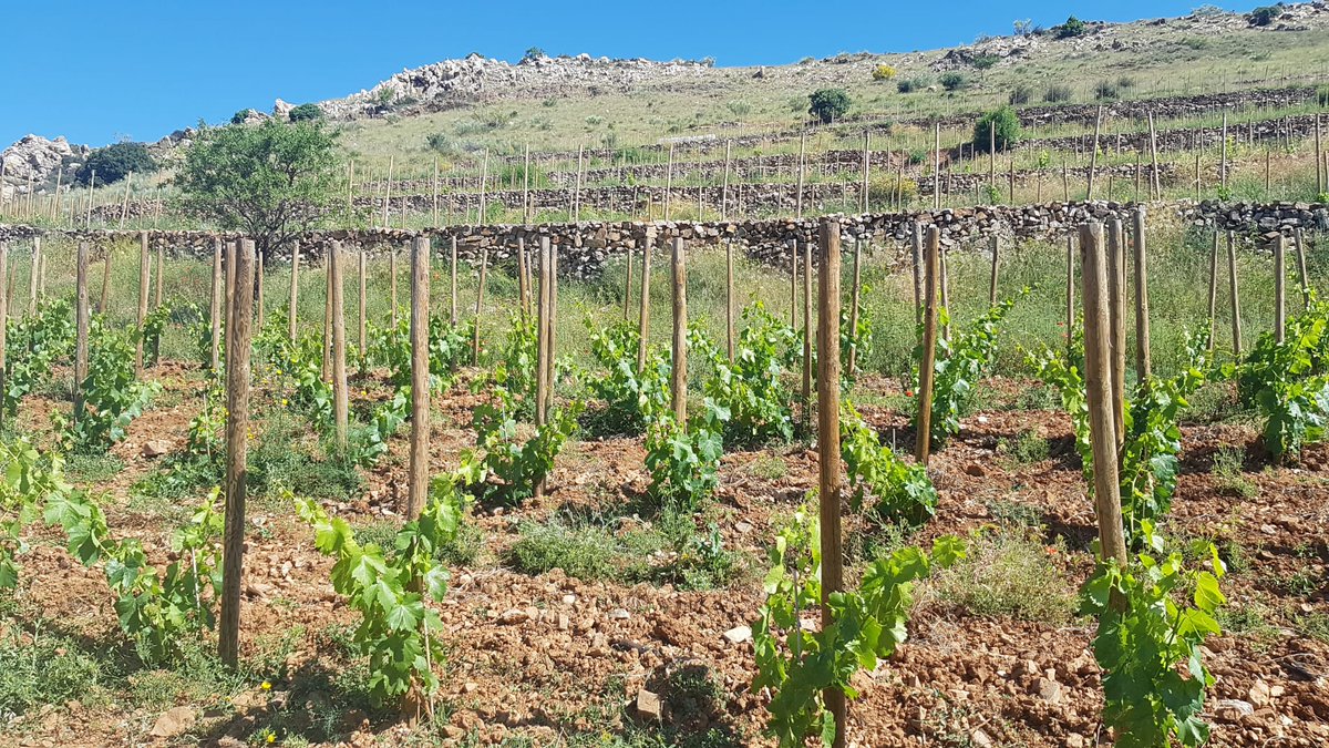 Gobierno de Aragón tweet media