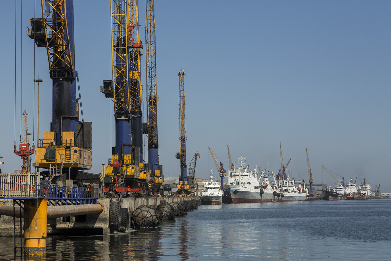 Namibian Sun on Twitter "JUST IN At least 182 Zimbabweans aboard a