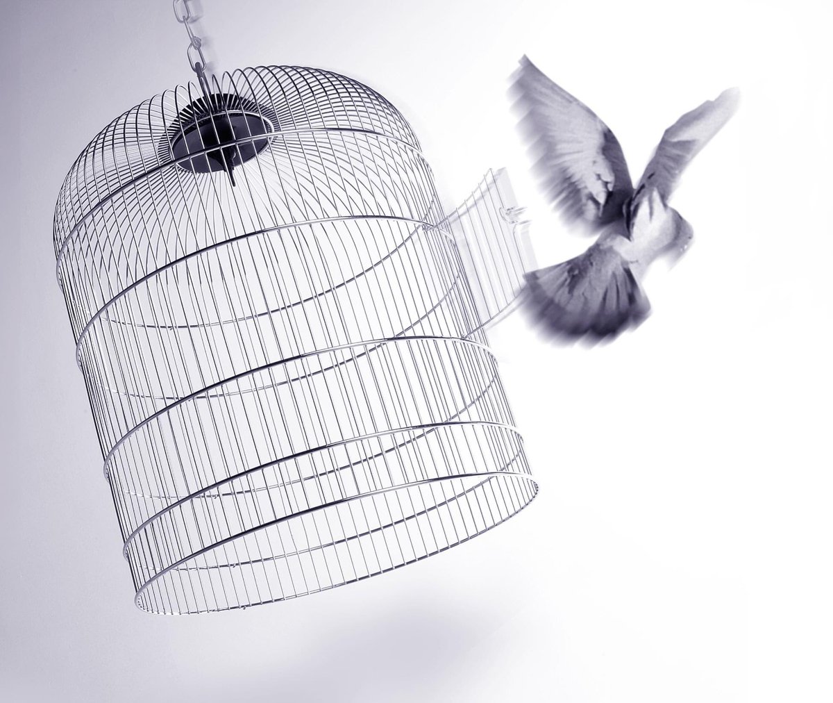 CoshNiven's tweet photo. Call CoshNiven to discover how we can help your business come out of lockdown and revitalise your sales.
Freephone 0800 085 4101 https://t.co/1CelZxRCf0