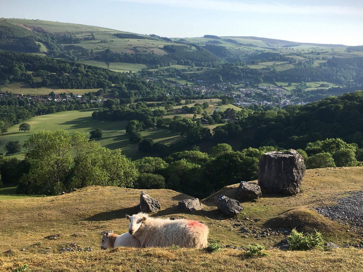Beth3107's tweet photo. Last night #llangollen Dinner with a view... https://t.co/cAmJSxq3aK