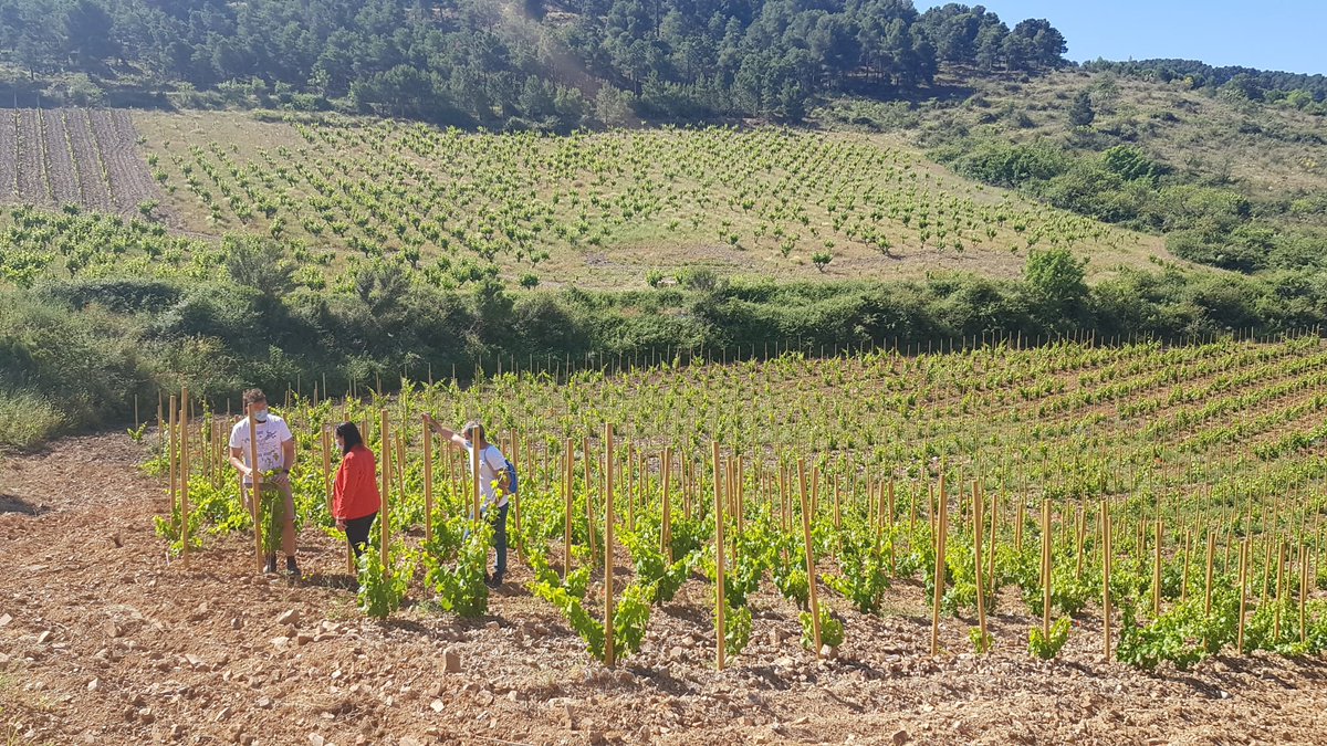 Gobierno de Aragón tweet media