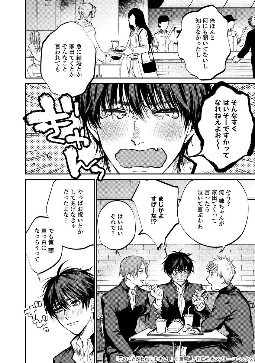 【BL】本当は弟のことが一番好きなこじらせ兄の話(2/8) 